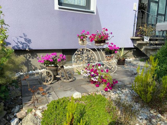 Haus Lila Welle Daire Nordhalben Dış mekan fotoğraf